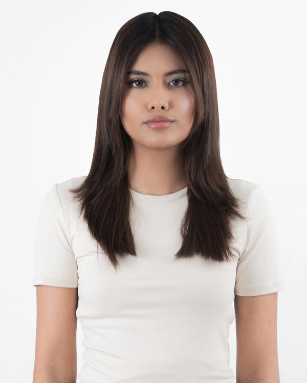 Classic Dark Brown With Ashy Blonde Highlights