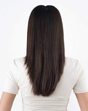 Classic Dark Brown With Ashy Blonde Highlights