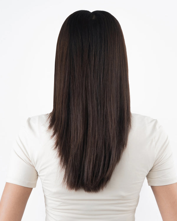 Classic Dark Brown With Ashy Blonde Highlights
